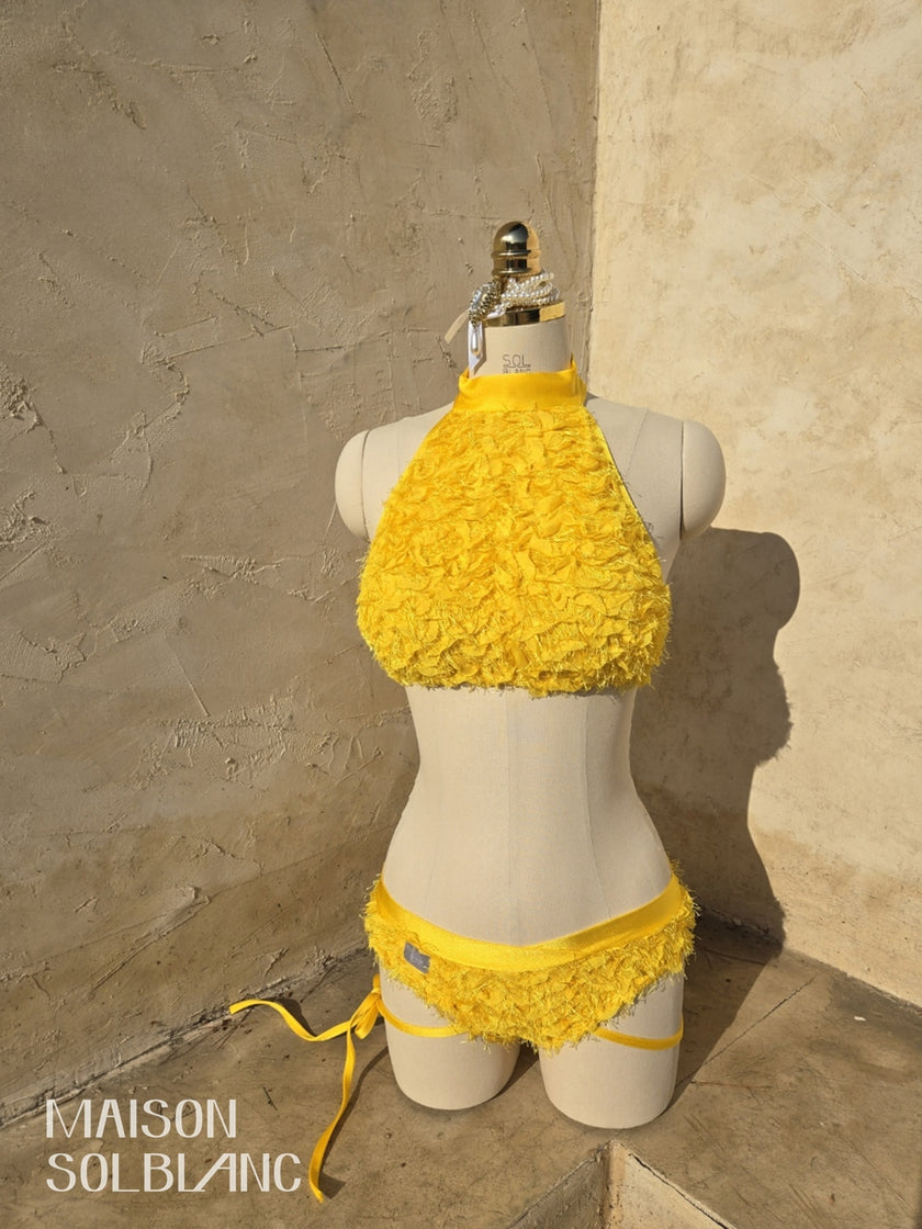 Sol Blanc｜Narciss Noblesse（ナルシス・ノブレス）