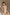 Sol Blanc｜Fashionista（ファッショニスタ）